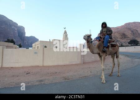 Camel y jinete caminan por la Mezquita en la aldea de Rum, Wadi Rum, Jordania Foto de stock