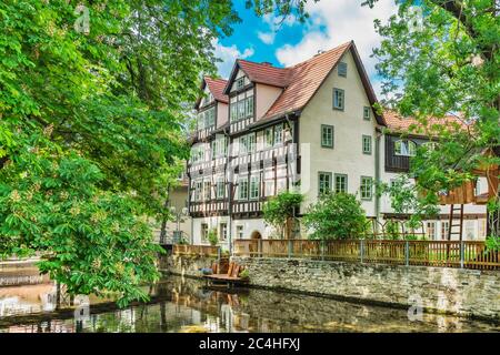 La casa de entramado de madera zum Roten Hirschen y zu den kleinen Füchsen está situada en el río Gera en Erfurt, Turingia, Alemania, Europa Foto de stock