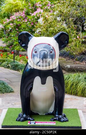 Sydney Australia 13 de octubre de 2019. La estatua de Koala 'no soy oso' con traje de panda en los Jardines Botánicos reales. Ambos animales son síntomas nacionales icónicos. Foto de stock