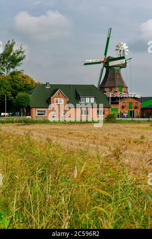 Molino de viento 'Ursula' en Barlt, distrito de Dithmarschen, Schleswig-Holstein, Alemania Foto de stock