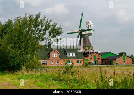 Molino de viento 'Ursula' en Barlt, distrito de Dithmarschen, Schleswig-Holstein, Alemania Foto de stock