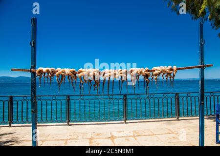 Los octopos recién capturados se secan al sol, Amarynthos pueblo, Evia, Grecia. Foto de stock