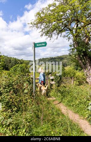 Señora tomando el perro para un paseo en el camino de Wardens en el valle del río Windrush cerca de la aldea Cotswold de Naunton, Gloucestershire Reino Unido Foto de stock