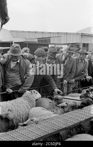 Granjeros en una venta de ovejas en Abergavenny, Monmouthshire, Gales, 1978 Foto de stock