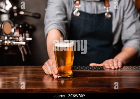 Emisión de cerveza en el bar. El barman en delantal le da al cliente un vaso de cerveza ligera en un mostrador de madera