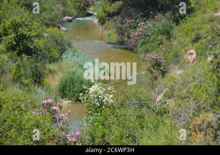 El río Palancia, un ejemplo del río de montaña mediterráneo en la región de Valencia, al este de España Foto de stock
