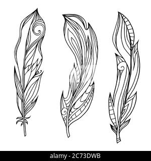 https://l450v.alamy.com/450ves/2c73dwb/conjunto-de-plumas-dibujadas-a-mano-con-patron-boho-elementos-de-fideos-tribales-elemento-vector-para-tu-creatividad-2c73dwb.jpg