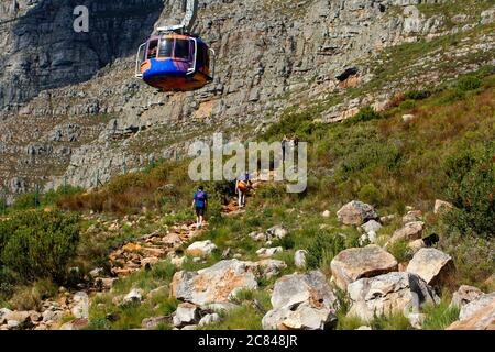 Caminar hasta el contorno superior de la ruta en Table Mountain.