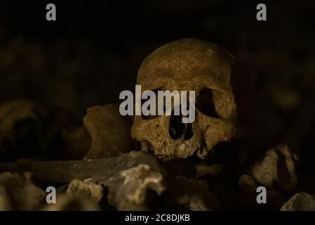 Cráneos y huesos en catacumbas. Cráneo viejo roto colocado en los huesos. Cementerio subterráneo. Foto de stock