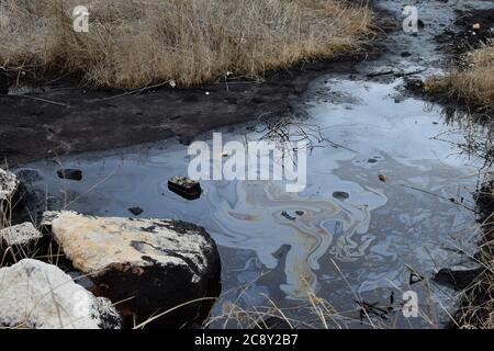 Pozo de asfalto natural de agua alquitrán en humedales pantanosos. Foto de stock
