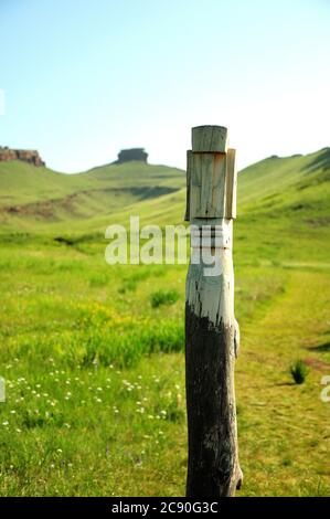 Un ídolo alto de madera tallado de un tronco se encuentra en un claro al pie de una colina alta. Entrada al primer pecho, Khakassia, Siberia del Sur, Rusia. Foto de stock