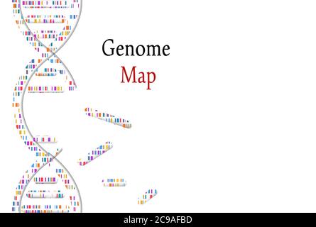 Prueba de ADN, mapa de genom. Genoma mosaico y sello de sello con frase genómica. Ilustración vectorial. Ilustración del Vector