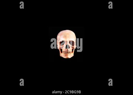 Vista frontal del laboratorio médico cráneo humano aislado en negro, hueso de cráneo realista, bueno para la anatomía de la universidad médica Foto de stock