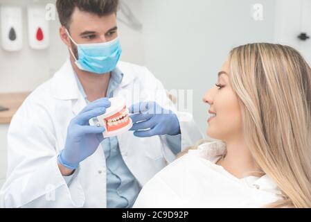 Dentista que sostiene la mandíbula muestra el diente. Consulta profesional en clínica dental Foto de stock