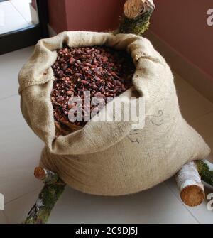 Una bolsa de cacao nibs en la Fortuna Costa Rica Foto de stock