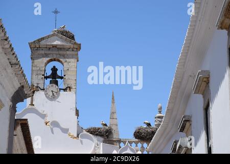 Cigüeñas anidando en la parte superior de una antigua puerta de la ciudad (Arco da vila) en Faro (Portugal) Foto de stock