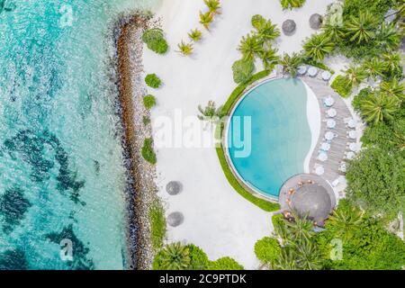 Vista superior desde el drone en la playa, mar azul y piscina con palmeras en el complejo de lujo Maldivas. Isla tropical, paisaje aéreo exótico Foto de stock