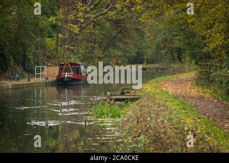 El canal Chesterfield cerca de Tapton Lock, Chesterfield, Derbyshire, Reino Unido Foto de stock