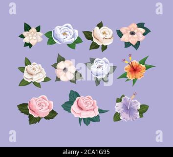 Conjunto de flores pintura diseño, natural floral naturaleza planta ornamento jardín decoración y botánica tema Ilustración vectorial