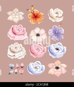 Conjunto de flores pintura diseño, natural floral naturaleza planta ornamento jardín decoración y botánica tema Ilustración vectorial
