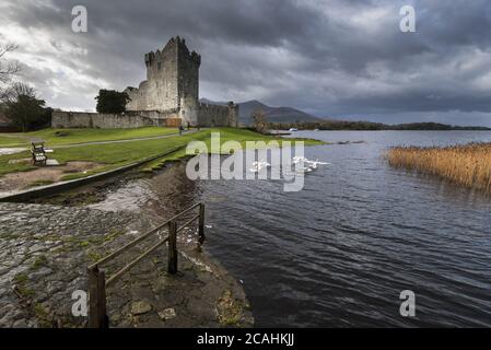 Foto escénica del Castillo Ross en la orilla del Lago Muckross en el Parque Nacional de Killarney en Kerry, Irlanda Foto de stock