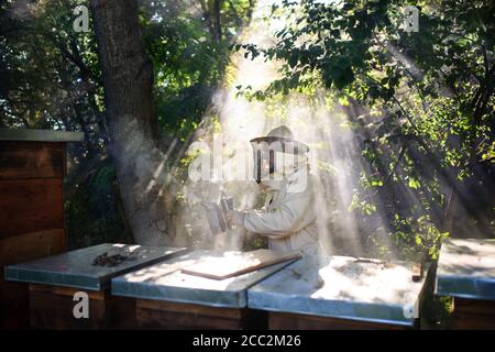 Retrato del hombre apicultor trabajando en apiario, usando el fumador de abejas. Foto de stock