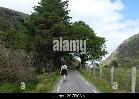 Caminando por el Gap of Dunloe como parte de nuestro Kerry Camino de caminata en 2019 Foto de stock