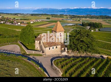 La iglesia de la Sentinelle, la guardiana, en la región vinícola de la Côte en el lago de Ginebra, Luins, Vaud, Suiza Foto de stock
