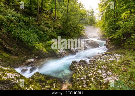 Gran angular vista de la garganta eslovena de Vintgar, con un torrente que corre entre rocas y en rápidos rodeados de vegetación Foto de stock