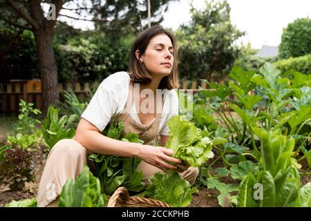 Mujer joven con los ojos cerrados sosteniendo lechuga mientras se agachaba jardín de verduras Foto de stock