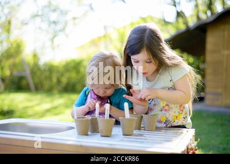 Lindas niñas plantando semillas en pequeñas ollas en la mesa en patio