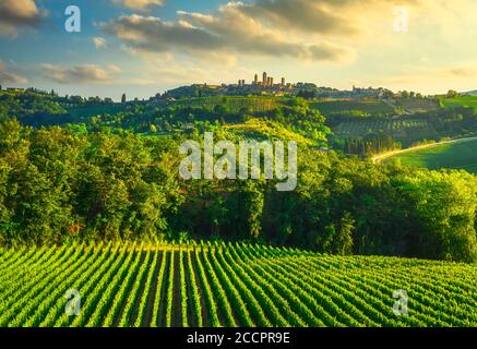 San Gimignano ciudad medieval torres horizonte y viñedos paisaje paisaje panorama al atardecer. Toscana, Italia, Europa.
