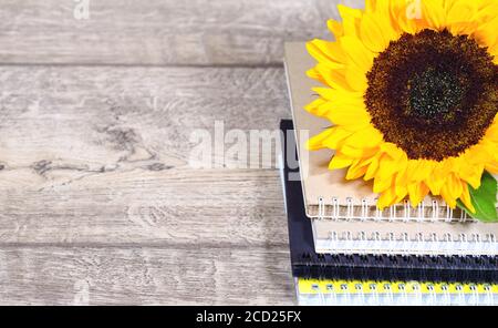 Pila de cuadernos de colores con borde en espiral con girasoles amarillos derechos, escuela o formación Foto de stock