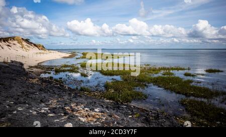 sylt isla alemana mar del norte Foto de stock