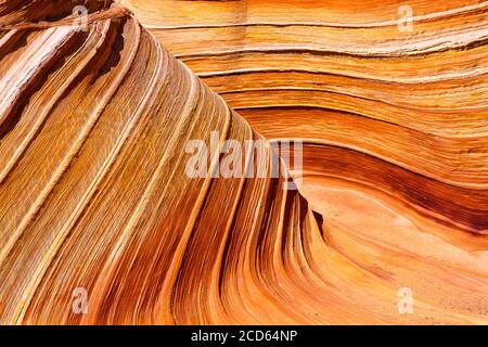 Paisaje con suaves formaciones rocosas en el desierto, Paria Canyon-Vermillion Cliffs Wilderness Area, Arizona, Estados Unidos