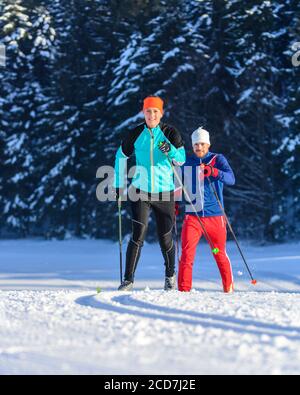 Hombre y mujer haciendo CC-esquí en estilo clásico Foto de stock