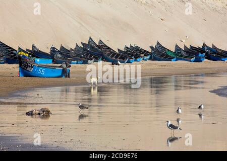 Marruecos, Sahara Occidental, Dakhla, pescadores en la playa de Araiche bordeado por un acantilado Foto de stock