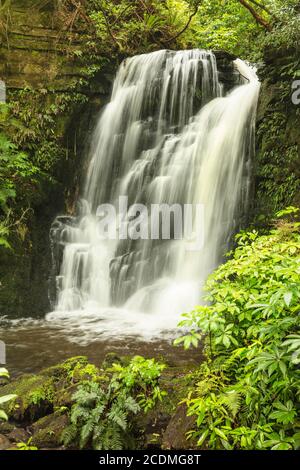 Horseshoe Falls, Matai Stream, Matai Falls Walk, The Catlins, Otago, South Island, Nueva Zelanda Foto de stock