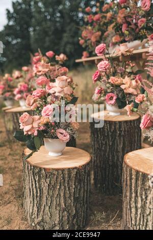 Arreglo de flores rosas en los troncos para una boda. Orientación vertical. Foto de stock