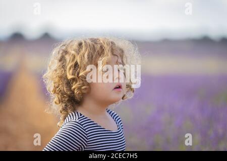 Adorable niña en el campo de lavanda púrpura