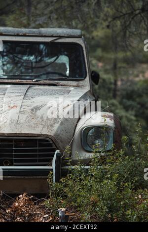 Coche blanco oxidado y antiguo con ventanas rotas en el lugar bosque verde