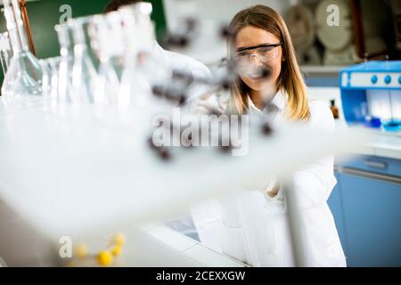 Linda investigadora femenina en ropa de trabajo protectora de pie en el laboratorio y matraz de análisis con líquido