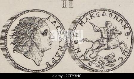 . I cesari in oro : raccolti nel Farnese museo, e pubblicati colle loro congrue interpretazioni. 3ME
