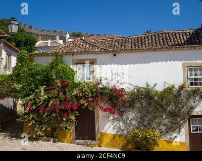 El exterior de la casa, de estilo colonial, pintadas de azul y amarillo