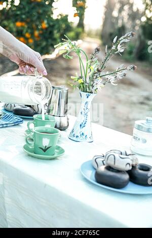 Mujer que vierte leche fresca de la jarra a la taza de cerámica mientras tener picnic en el jardín