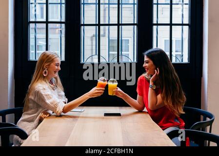 Vista lateral de la hermosa mujer joven con estilo amigos clinking tazas y disfrutar de bebidas de frutas mientras se sienta en la mesa de madera siguiente a la ventana en el café
