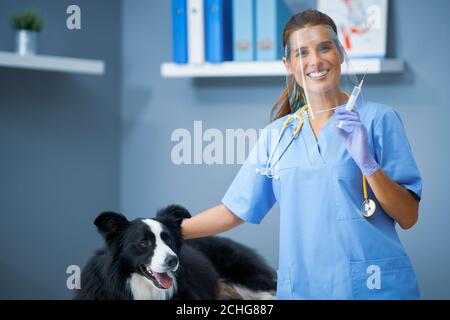 Mujer veterinario vacunando a un perro en la clínica Foto de stock