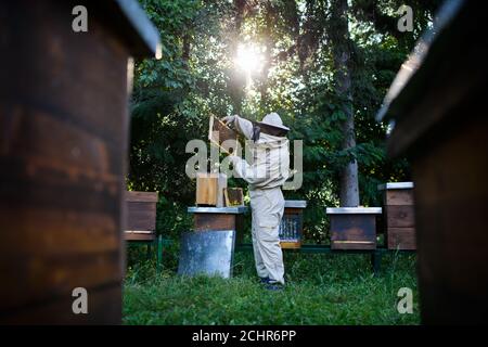 Retrato del hombre apicultor trabajando en apiario, usando el fumador de abejas. Foto de stock