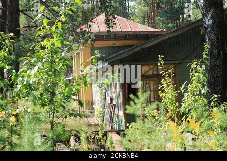 Pequeña casa abandonada en el bosque al atardecer Fotografía de stock