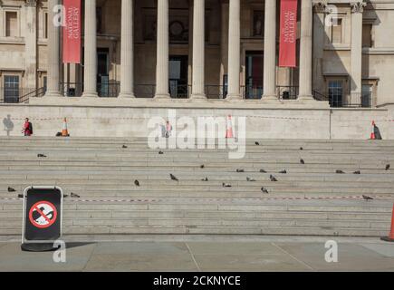 Londres, Reino Unido. 10th de septiembre de 2020. El vuelo de los pasos delante de la Galería Nacional en Trafalgar Square Londres visto con palomas y un signo de paloma sin alimentación en un cálido día de verano en septiembre. Crédito: Joekuis / Alamy News